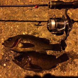 やっと２０Ｕｐ